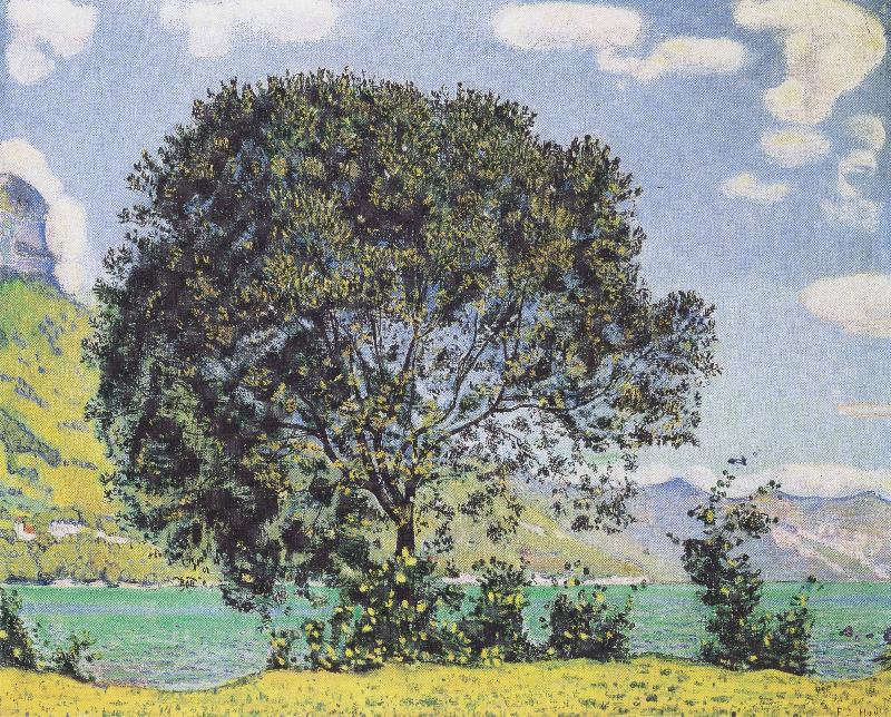 Ferdinand Hodler Baum am Brienzersee vom Bodeli aus